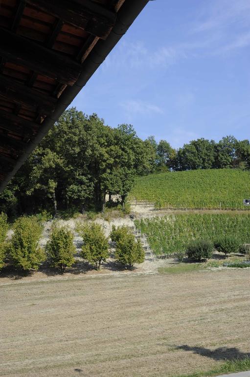 Agriturismo La Bioca Castiglione Falletto Ngoại thất bức ảnh